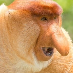 Meet your Posher, Jacob